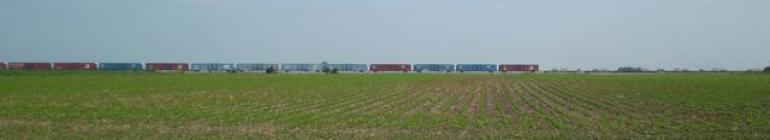 long freight train riding on rail with field of young soybeans in front of it