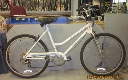 raleigh ez rider